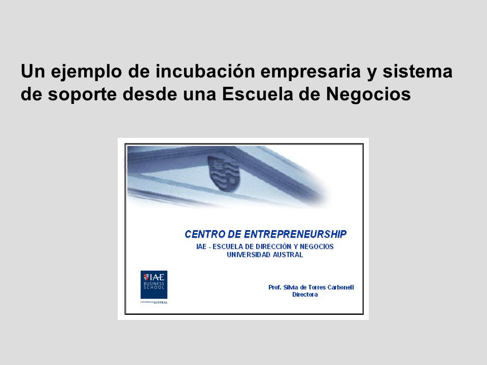 Un ejemplo de incubación empresaria y sistema de soporte desde una Escuela de Negocios