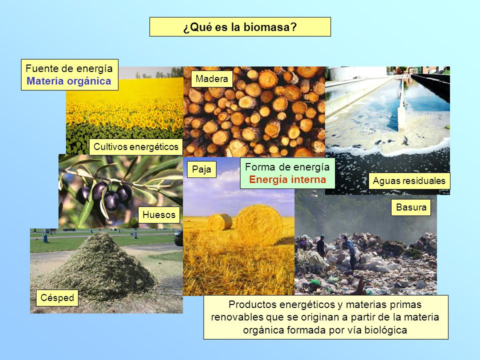 ¿Qué es la biomasa Fuente de energía Materia orgánica
