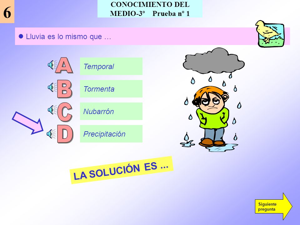 CONOCIMIENTO DEL MEDIO-3º Prueba nº 1