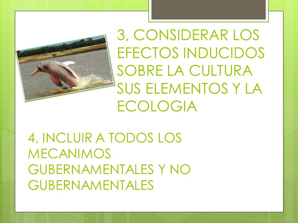 3, CONSIDERAR LOS EFECTOS INDUCIDOS SOBRE LA CULTURA SUS ELEMENTOS Y LA ECOLOGIA