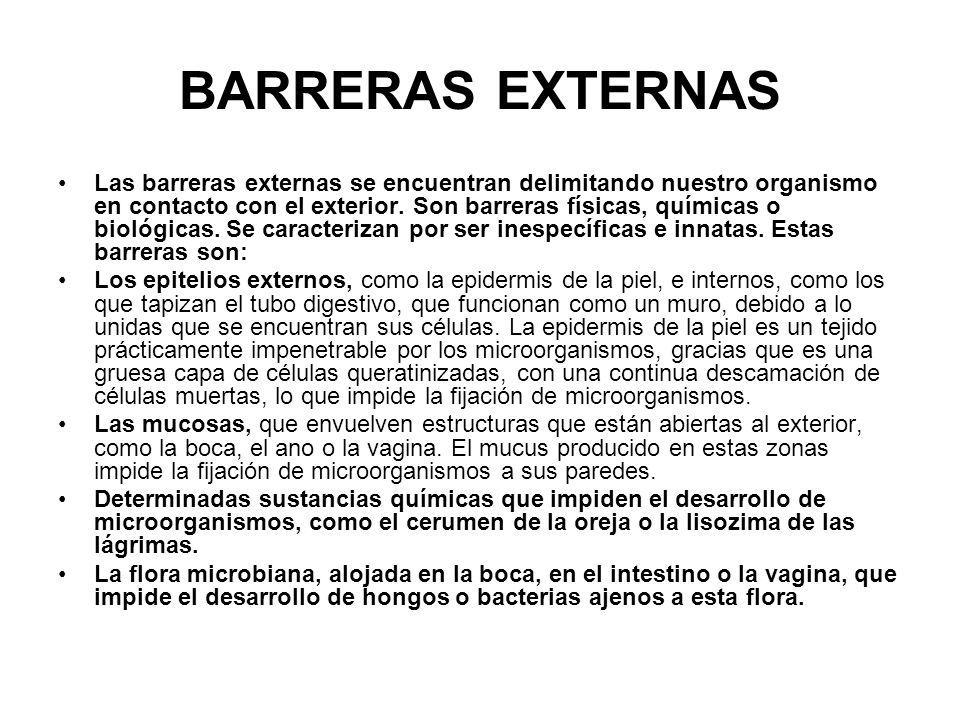 BARRERAS EXTERNAS