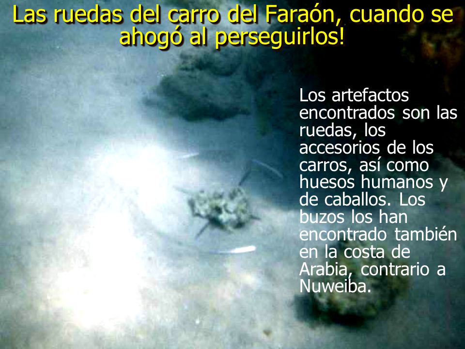 Las ruedas del carro del Faraón, cuando se ahogó al perseguirlos!