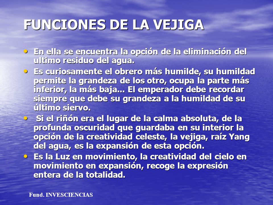 FUNCIONES DE LA VEJIGA En ella se encuentra la opción de la eliminación del ultimo residuo del agua.