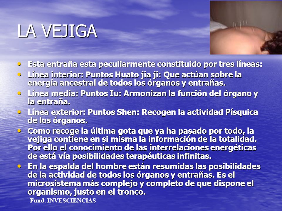 LA VEJIGA Esta entraña esta peculiarmente constituido por tres líneas: