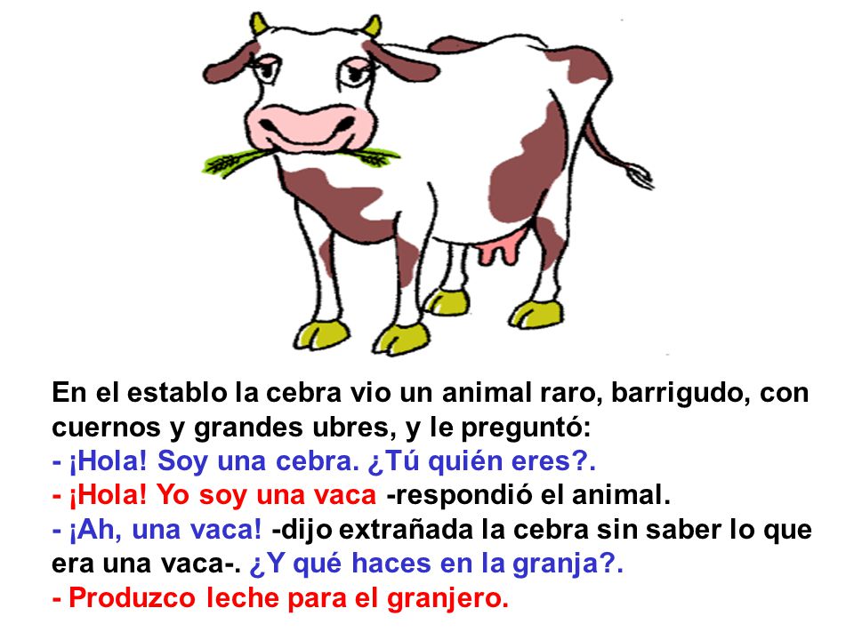 En el establo la cebra vio un animal raro, barrigudo, con cuernos y grandes ubres, y le preguntó: