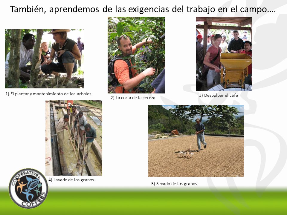 También, aprendemos de las exigencias del trabajo en el campo.…