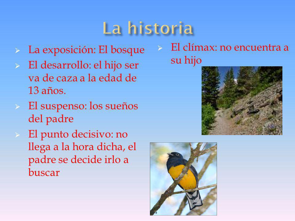La historia El clímax: no encuentra a su hijo La exposición: El bosque