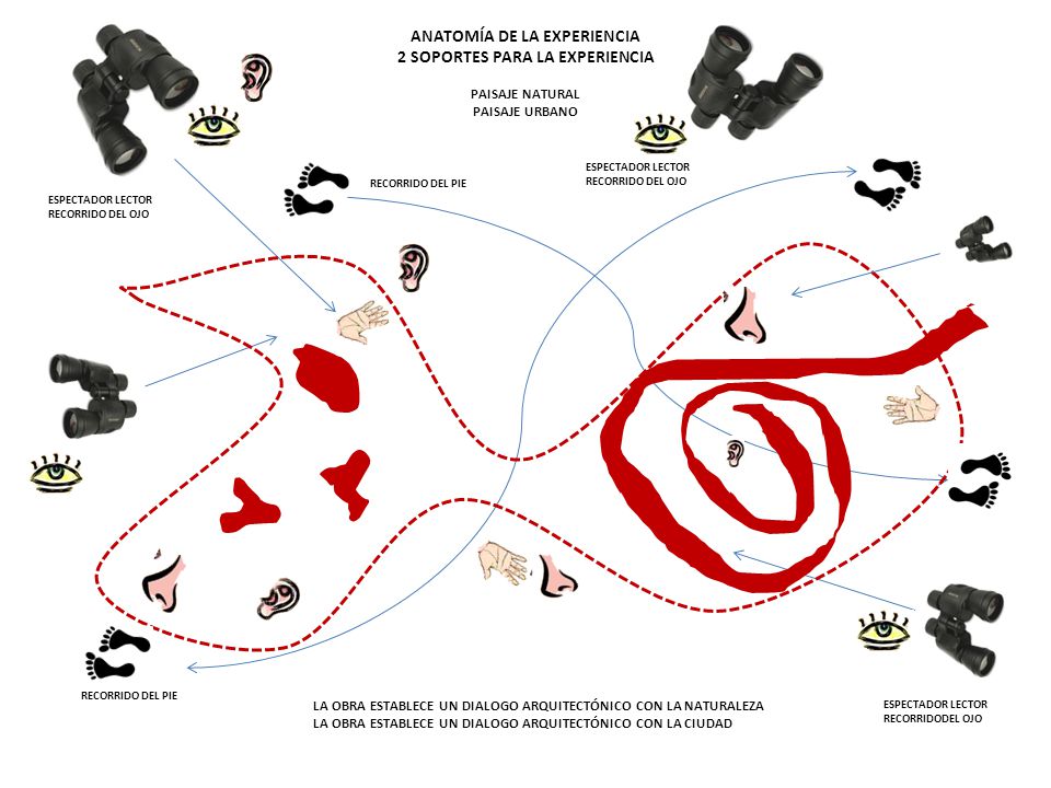 ANATOMÍA DE LA EXPERIENCIA 2 SOPORTES PARA LA EXPERIENCIA PAISAJE NATURAL PAISAJE URBANO