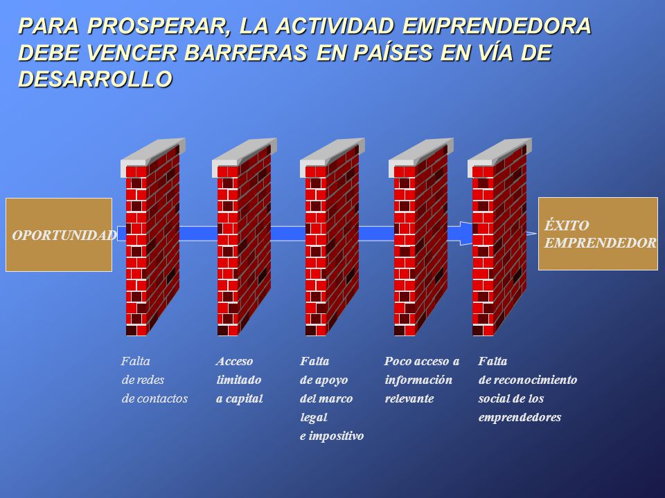 PARA PROSPERAR, LA ACTIVIDAD EMPRENDEDORA DEBE VENCER BARRERAS EN PAÍSES EN VÍA DE DESARROLLO