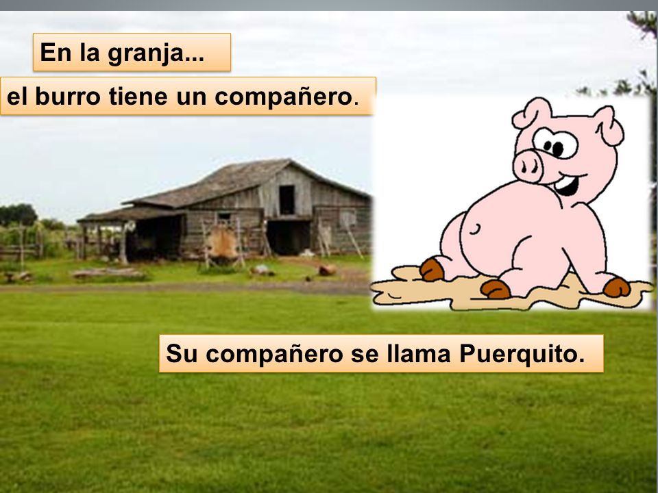 En la granja... el burro tiene un compañero. Su compañero se llama Puerquito.