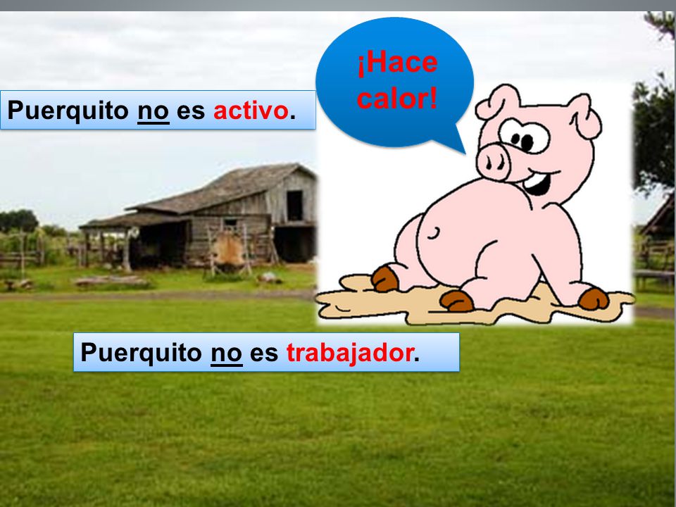 ¡Hace calor! Puerquito no es activo. Puerquito no es trabajador.