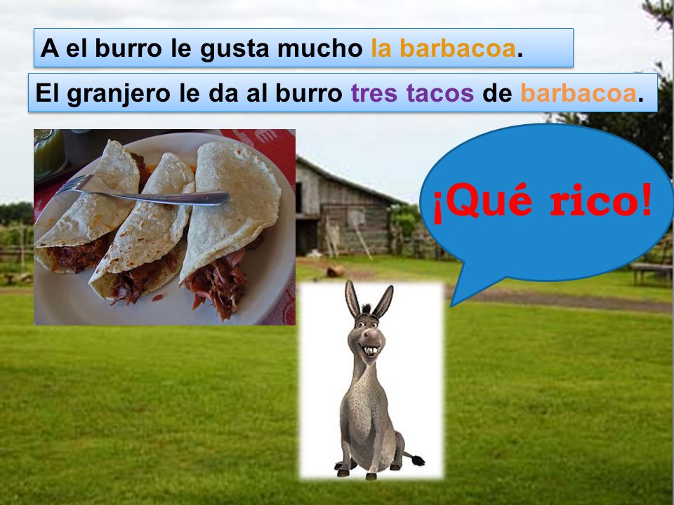 ¡Qué rico! A el burro le gusta mucho la barbacoa.