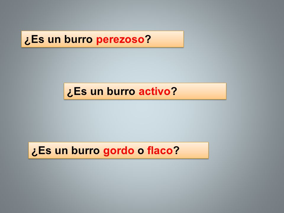 ¿Es un burro perezoso ¿Es un burro activo ¿Es un burro gordo o flaco