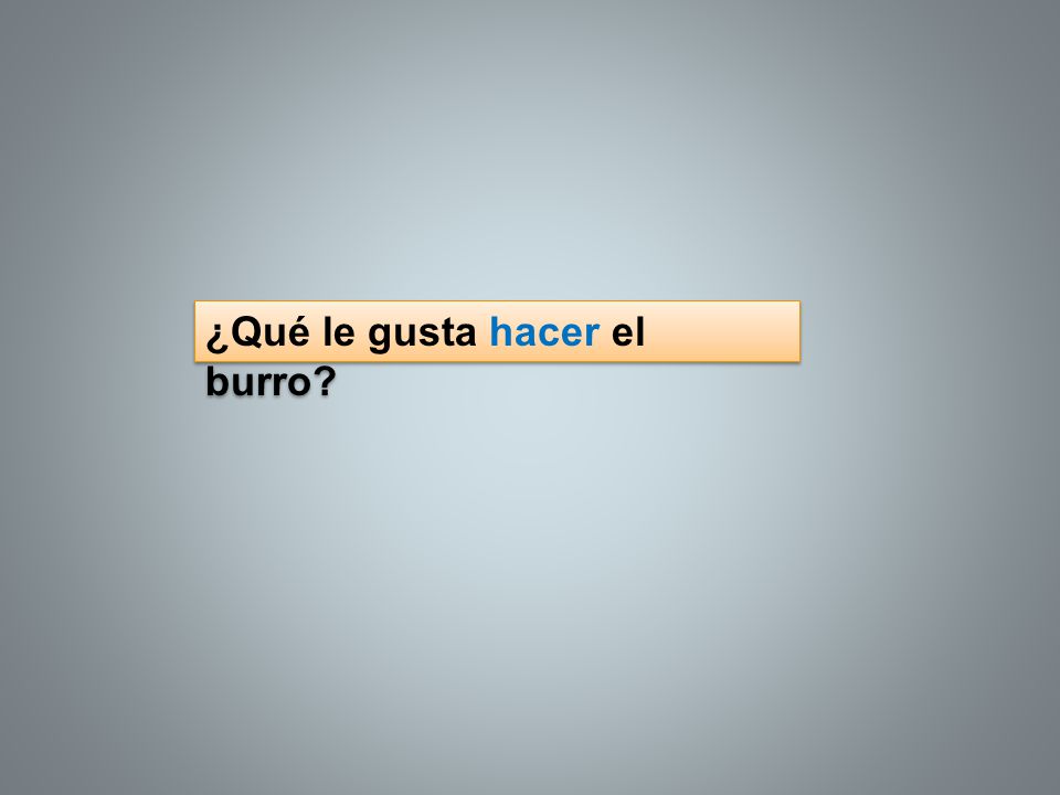 ¿Qué le gusta hacer el burro