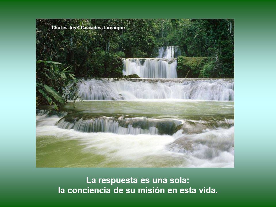 La respuesta es una sola: la conciencia de su misión en esta vida.