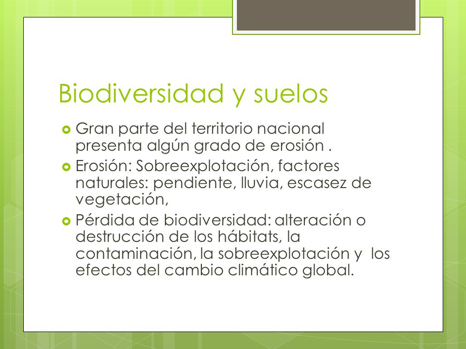 Biodiversidad y suelos