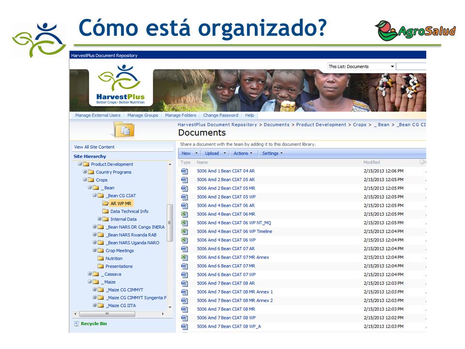 Cómo está organizado