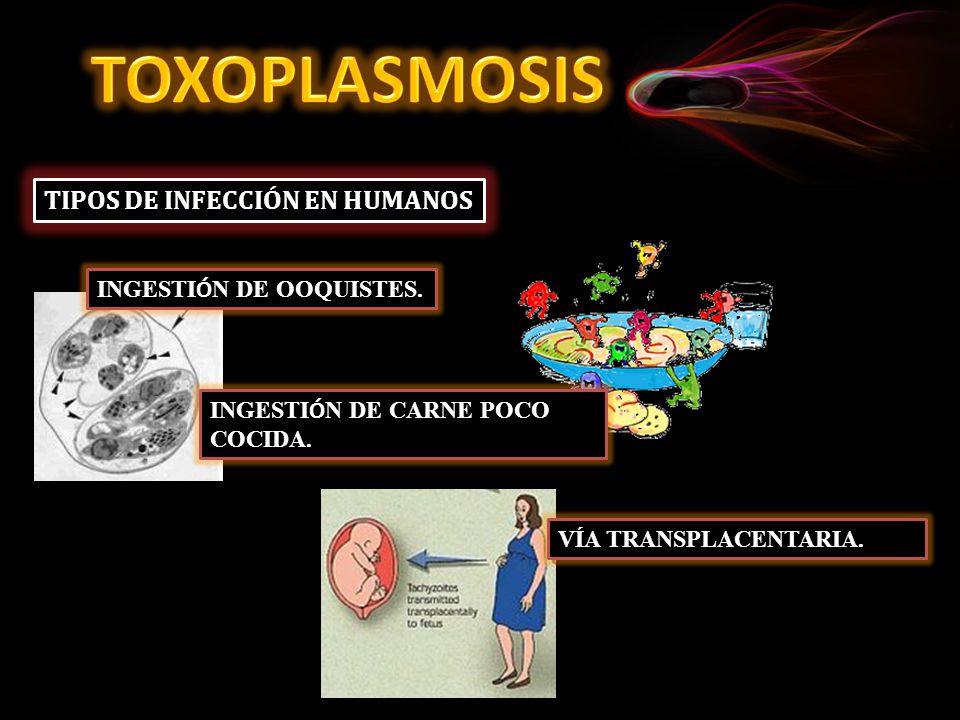 TOXOPLASMOSIS TIPOS DE INFECCIÓN EN HUMANOS INGESTIÓN DE OOQUISTES.
