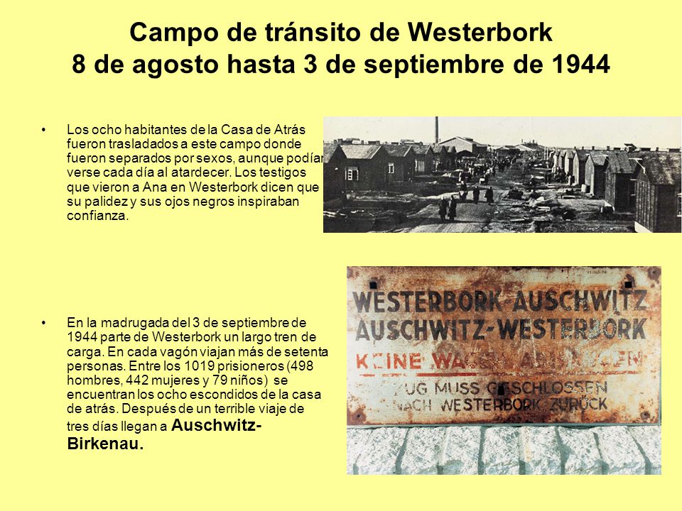 Campo de tránsito de Westerbork 8 de agosto hasta 3 de septiembre de 1944
