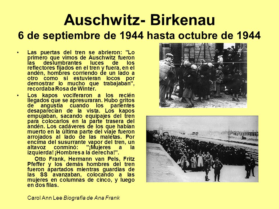 Auschwitz- Birkenau 6 de septiembre de 1944 hasta octubre de 1944