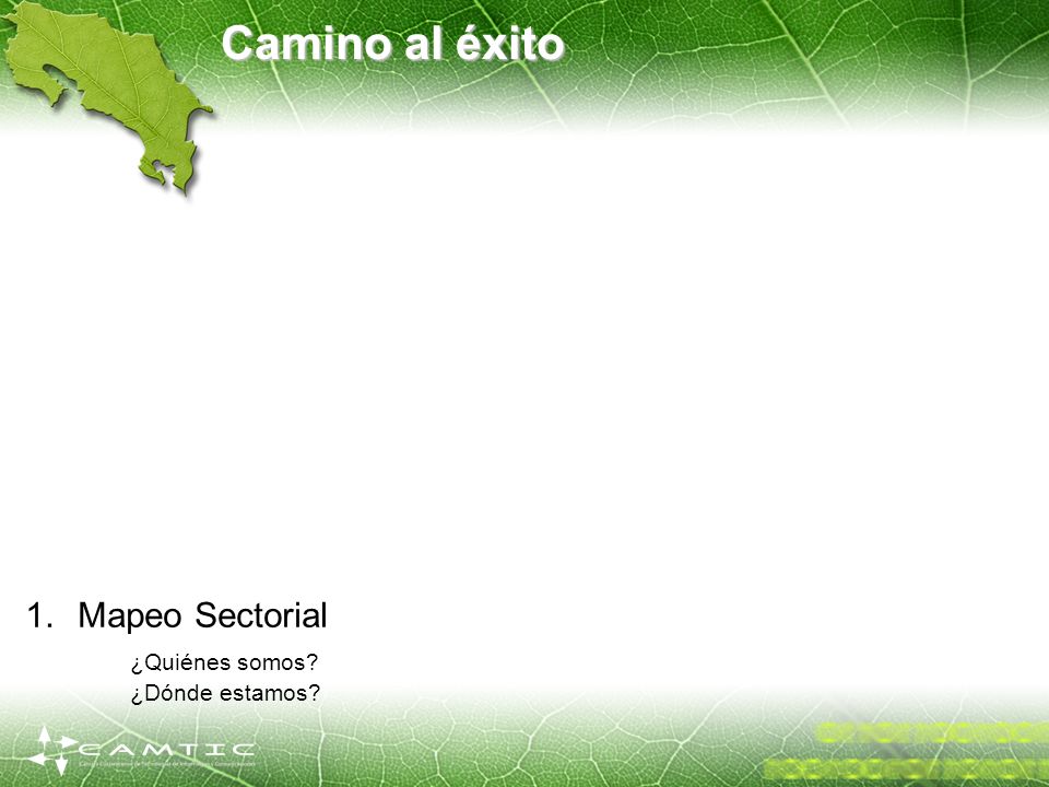 Camino al éxito Mapeo Sectorial ¿Quiénes somos ¿Dónde estamos