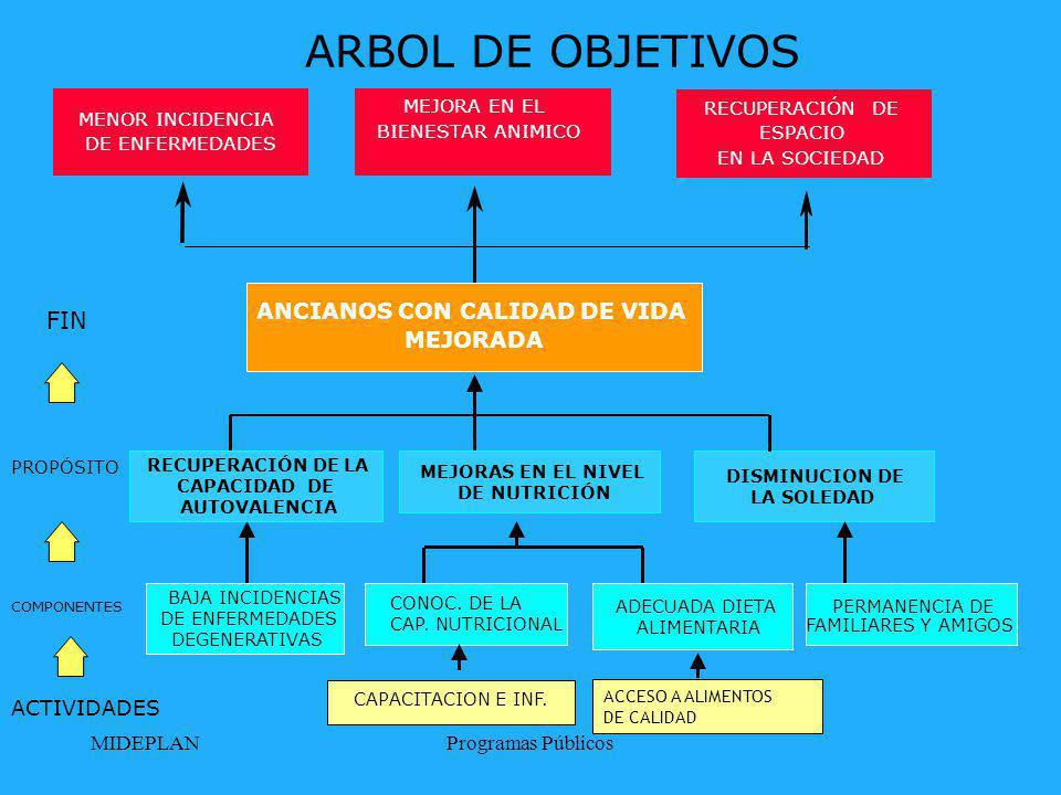 ARBOL DE OBJETIVOS FIN ANCIANOS CON CALIDAD DE VIDA MEJORADA