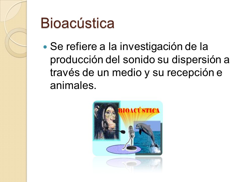 Bioacústica Se refiere a la investigación de la producción del sonido su dispersión a través de un medio y su recepción e animales.