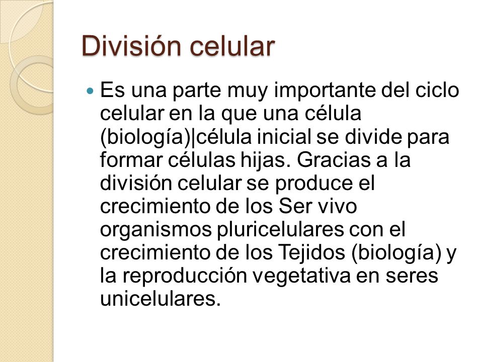 División celular