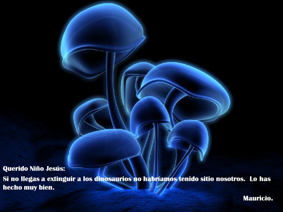 Querido Niño Jesús: Si no llegas a extinguir a los dinosaurios no habríamos tenido sitio nosotros. Lo has hecho muy bien.