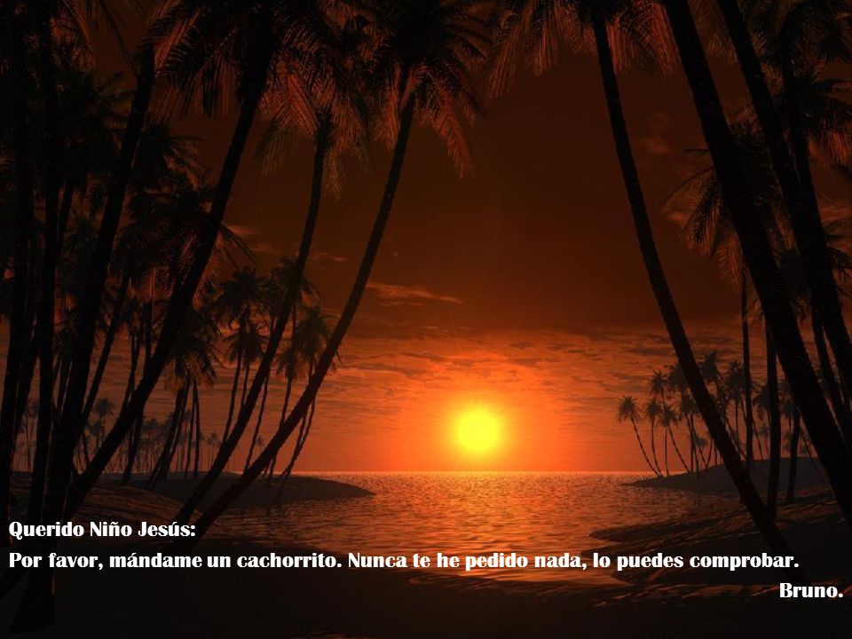 Querido Niño Jesús: Por favor, mándame un cachorrito. Nunca te he pedido nada, lo puedes comprobar.