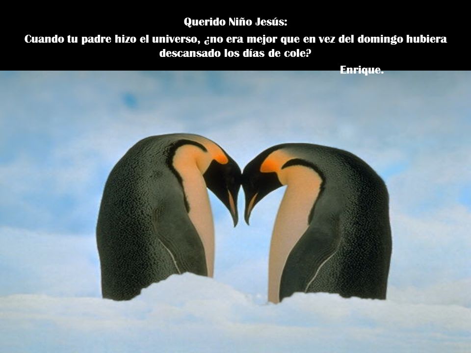 Querido Niño Jesús: Cuando tu padre hizo el universo, ¿no era mejor que en vez del domingo hubiera descansado los días de cole