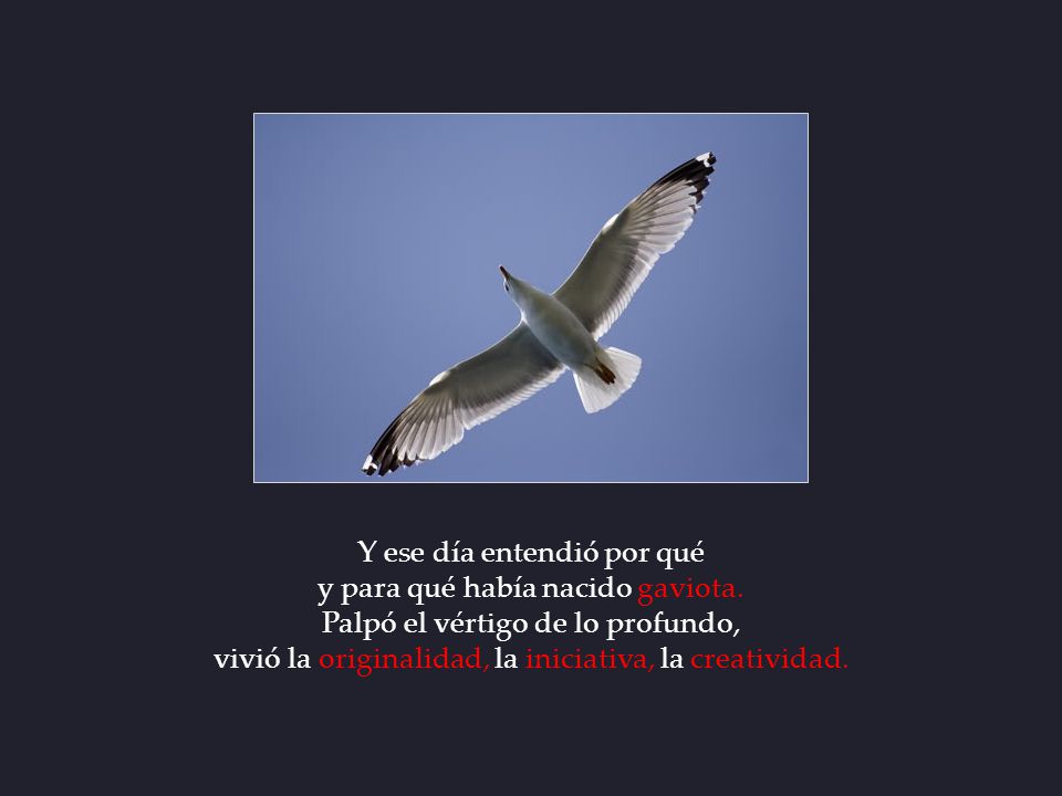 Y ese día entendió por qué y para qué había nacido gaviota.