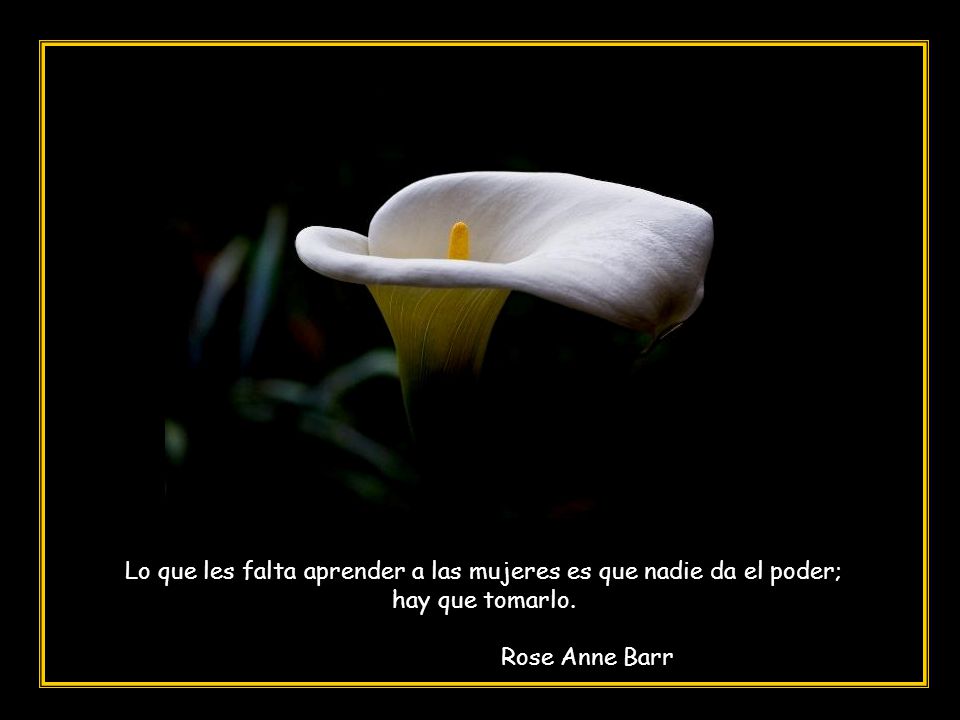 Lo que les falta aprender a las mujeres es que nadie da el poder;
