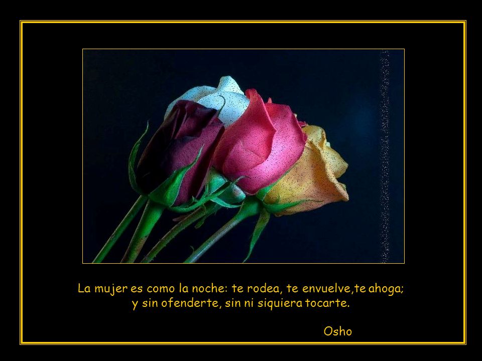 La mujer es como la noche: te rodea, te envuelve,te ahoga;