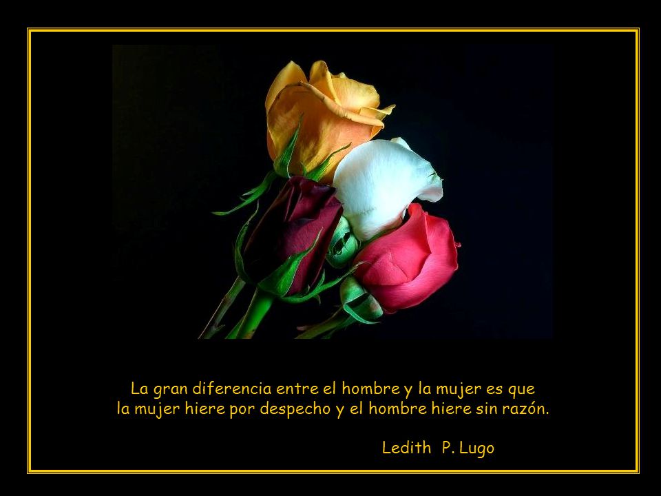 La gran diferencia entre el hombre y la mujer es que