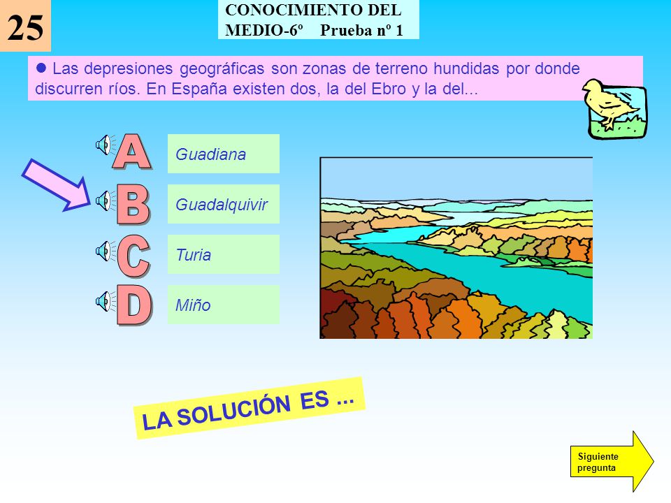 25 A B C D LA SOLUCIÓN ES ... CONOCIMIENTO DEL MEDIO-6º Prueba nº 1