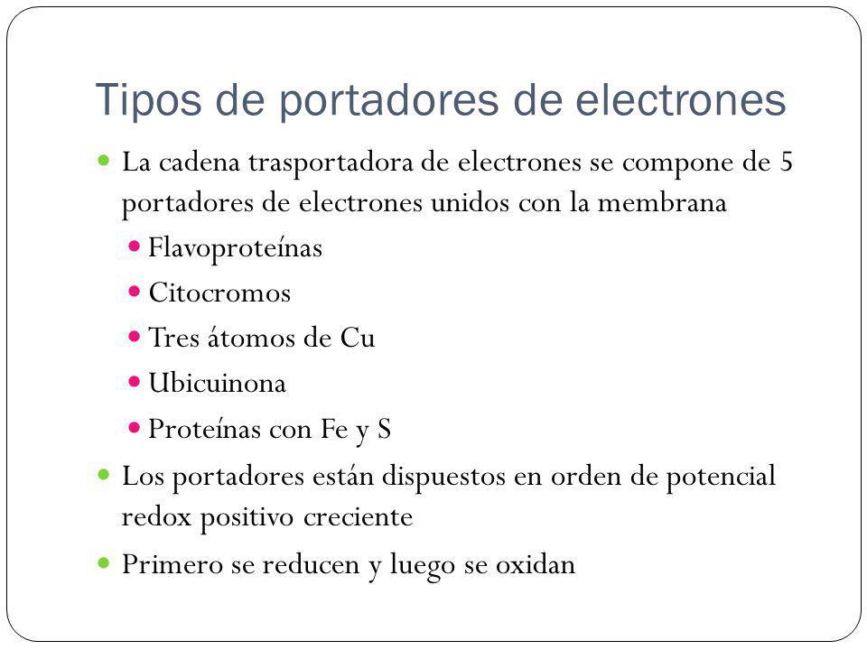Tipos de portadores de electrones
