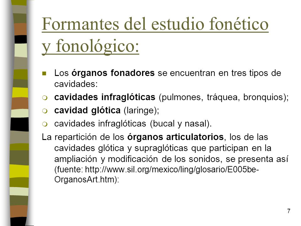 Formantes del estudio fonético y fonológico: