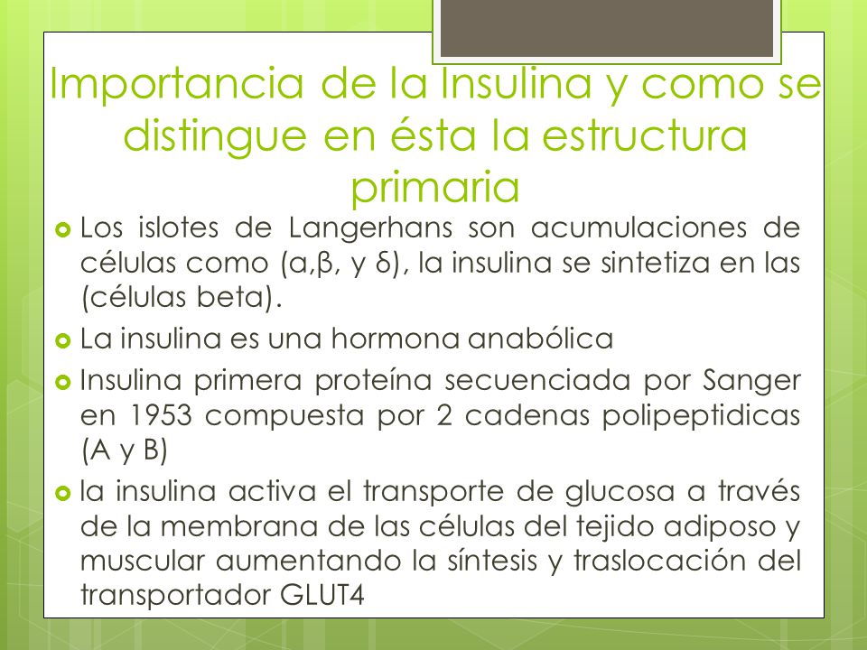 Importancia de la Insulina y como se distingue en ésta la estructura primaria