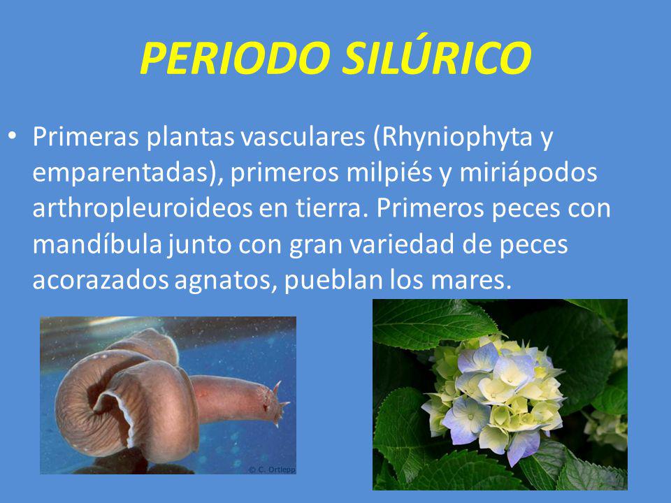 PERIODO SILÚRICO