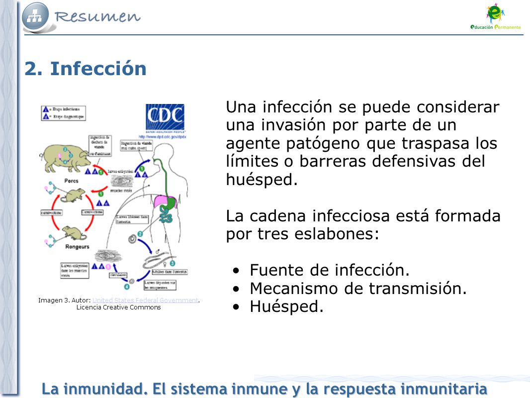 2. Infección
