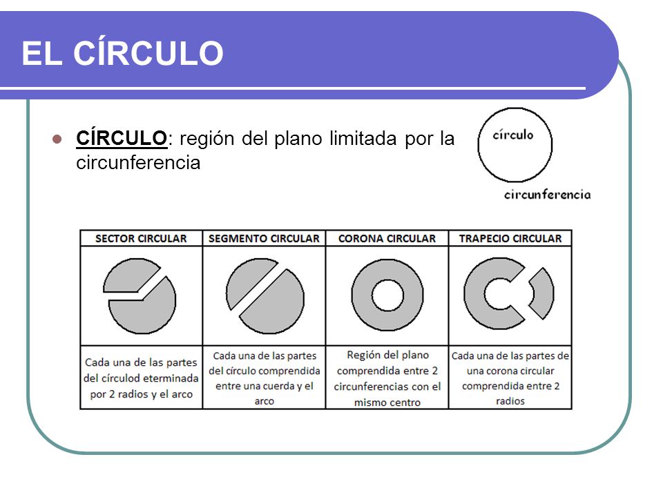 EL CÍRCULO CÍRCULO: región del plano limitada por la circunferencia 7