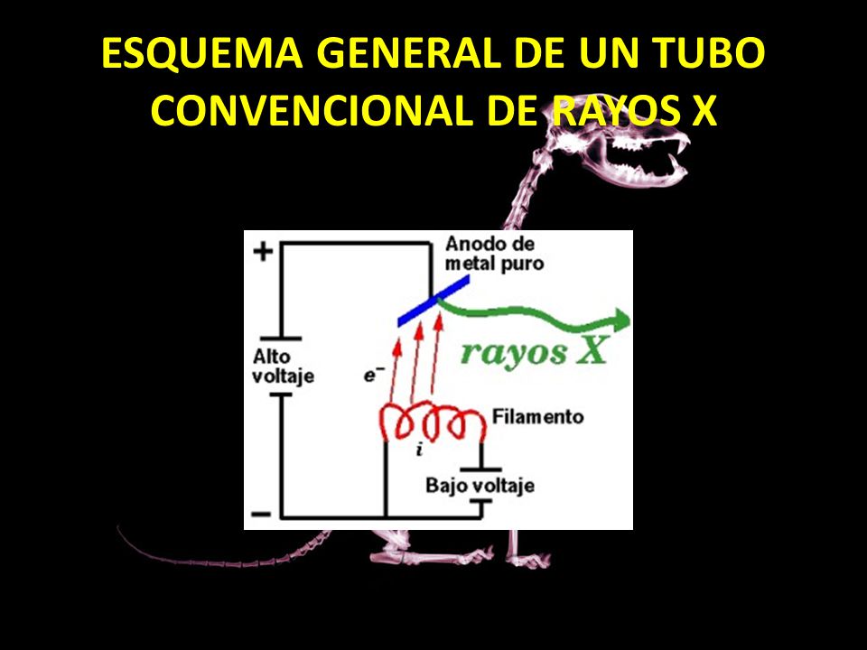 ESQUEMA GENERAL DE UN TUBO CONVENCIONAL DE RAYOS X