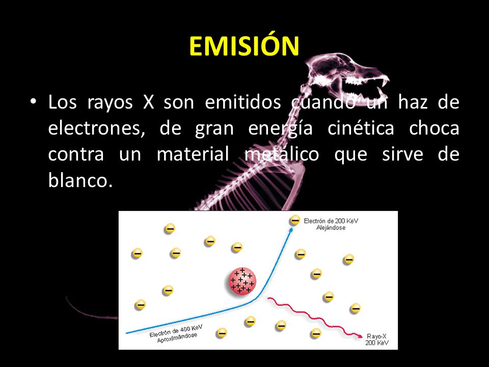 EMISIÓN Los rayos X son emitidos cuando un haz de electrones, de gran energía cinética choca contra un material metálico que sirve de blanco.