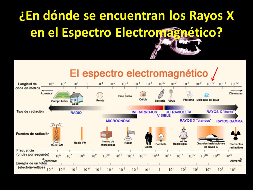 ¿En dónde se encuentran los Rayos X en el Espectro Electromagnético