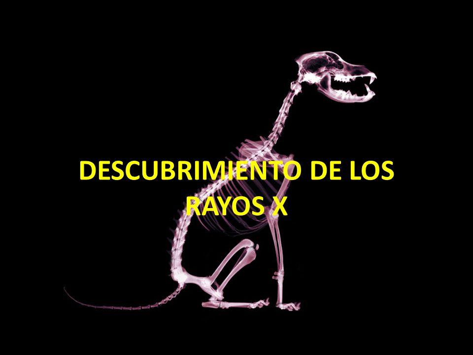 DESCUBRIMIENTO DE LOS RAYOS X