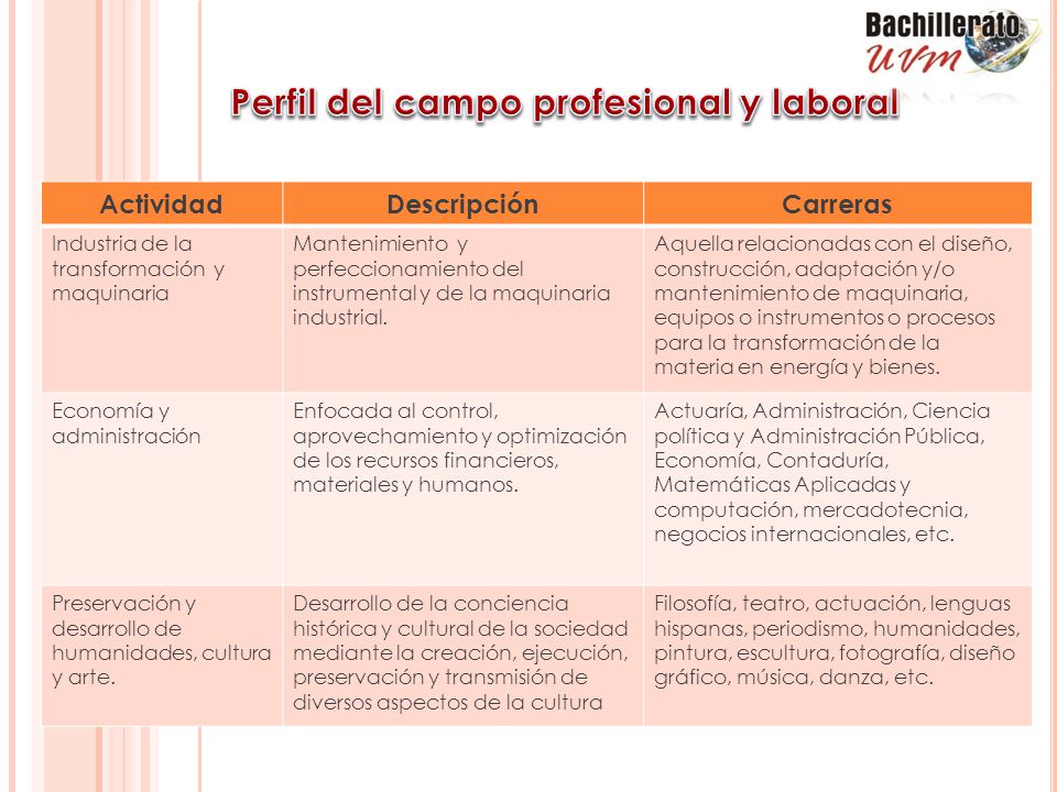 Perfil del campo profesional y laboral