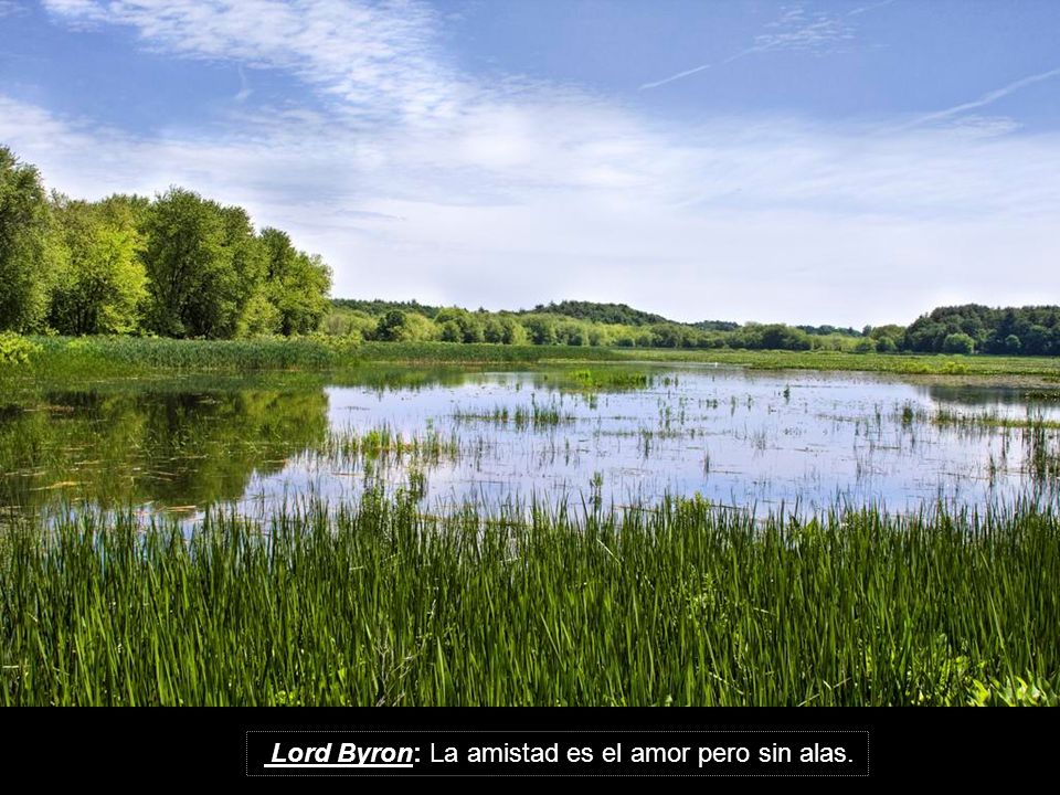 Lord Byron: La amistad es el amor pero sin alas.