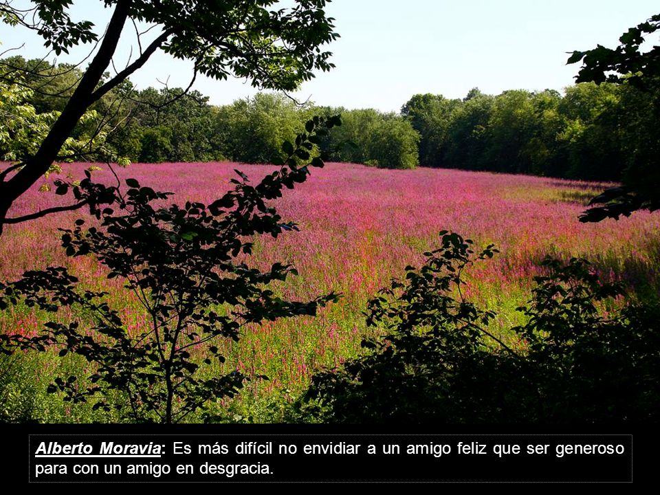 Alberto Moravia: Es más difícil no envidiar a un amigo feliz que ser generoso para con un amigo en desgracia.