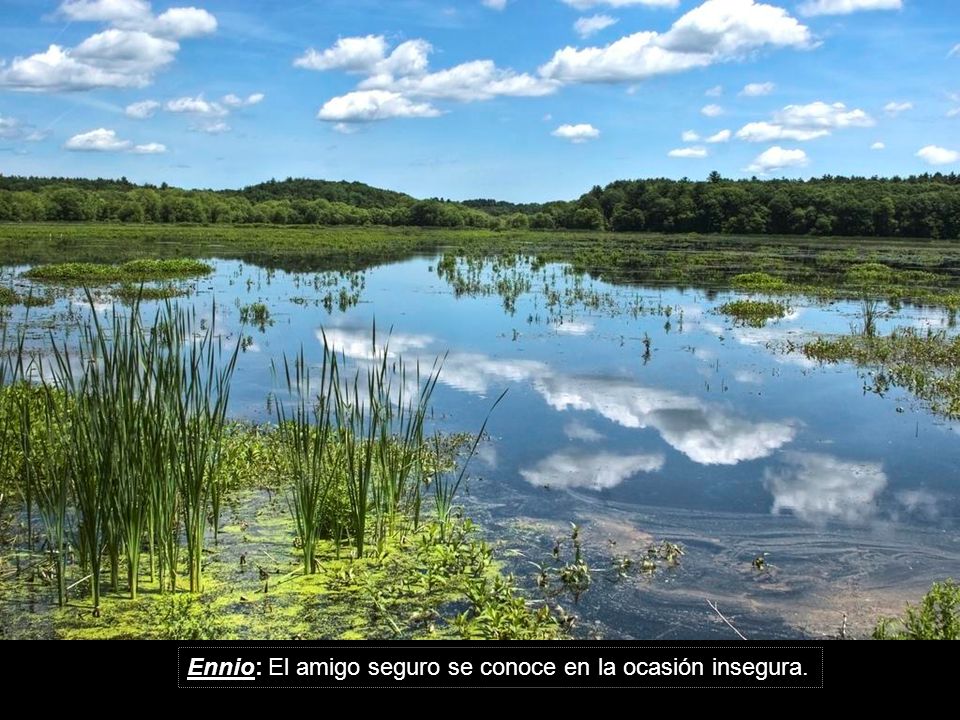 Ennio: El amigo seguro se conoce en la ocasión insegura.